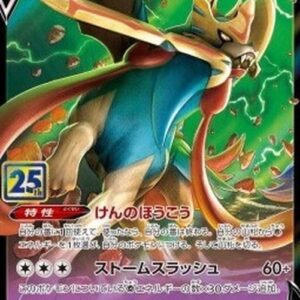 Pokemon Zacian V Japanese