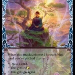 Flesh And Blood MST Levels of Enlightenment