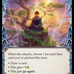 Flesh And Blood MST Levels of Enlightenment