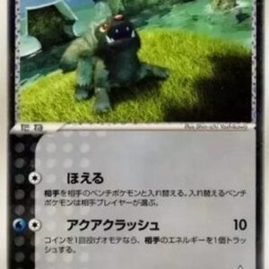 Pokemon Team Aqua's Poochyena Japanese