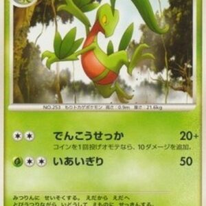 Pokemon Grovyle Lv.24 Japanese
