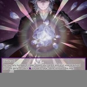Force of Will MSW Awakening of the Magic Stones