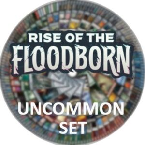 Lorcana 2ROF Rise of the Floodborn: Uncommon Set