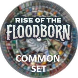 Lorcana 2ROF Rise of the Floodborn: Common Set