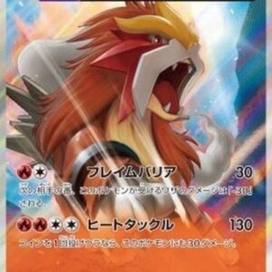 Pokemon Entei Japanese