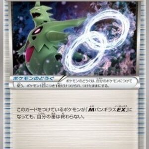 Pokemon Tyranitar Spirit Link Japanese