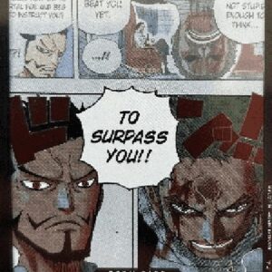 One Piece OPPR DON!!