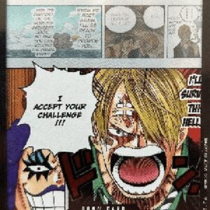 One Piece OPPR DON!!