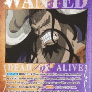 One Piece -JP Kaido