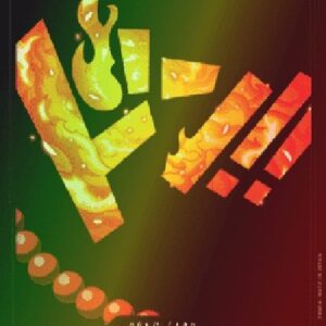 One Piece -JP Don!! (PRB Ace) (V.2)