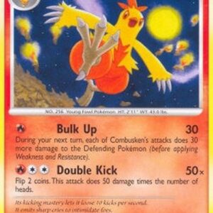Pokemon Combusken Lv.24