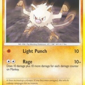 Pokemon Mankey Lv.14