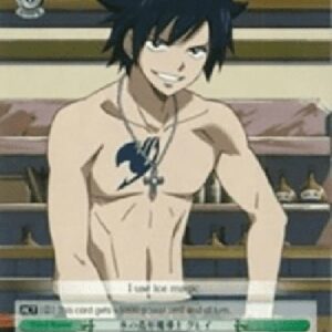 Weiß Schwarz FT/EN-Ice Make Wizard, Gray (V.1 - Trial Deck)