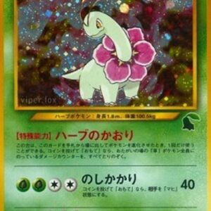 Pokemon Meganium Japanese