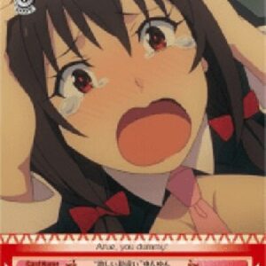 Weiß Schwarz KS/"Extreme Misunderstanding" Yunyun