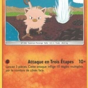 Pokemon Mankey French