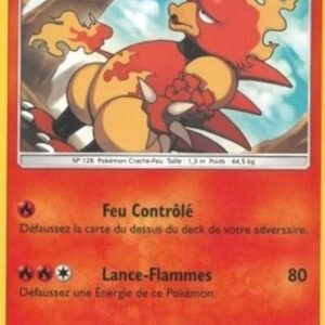 Pokemon Magmar French