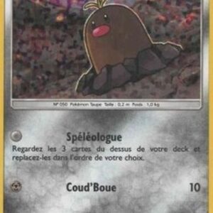 Pokemon Alolan Diglett French