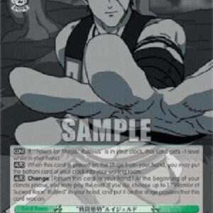 Weiß Schwarz MTI/"Battle Stance" Ruijerd (V.2 - Super Rare)