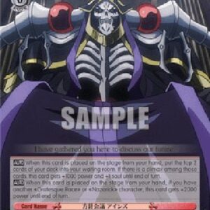 Weiß Schwarz OVL/Discussion About the Future, Ainz