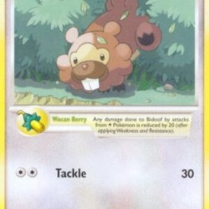 Pokemon Bidoof Lv.11