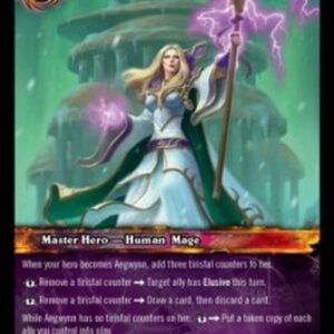 World of Warcraft TCG Aegwynn, Guardian of Tirisfal (V.2)