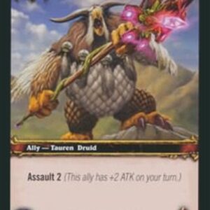 World of Warcraft TCG Besora Galefeather