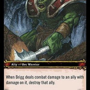 World of Warcraft TCG Brigg