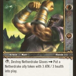 World of Warcraft TCG Netherdrake Gloves