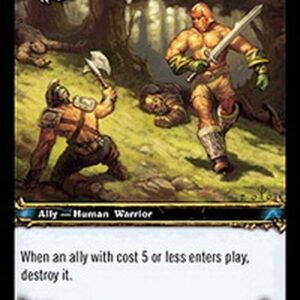 World of Warcraft TCG "He Who Has No Life"