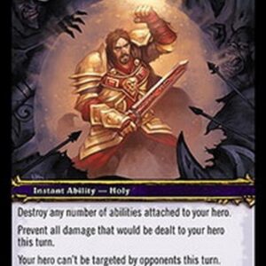 World of Warcraft TCG Divine Shield