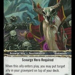 World of Warcraft TCG Malefic Necromancer