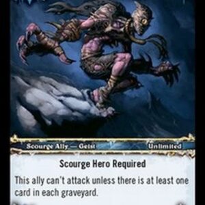 World of Warcraft TCG Marauding Geist