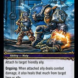 World of Warcraft TCG Paladin Training