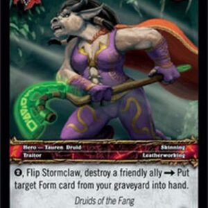World of Warcraft TCG Desecrator Stormclaw