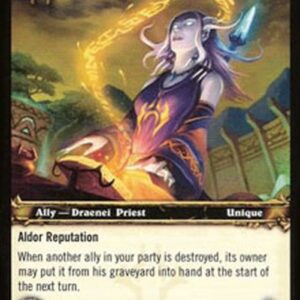 World of Warcraft TCG Anchorite Ceyla