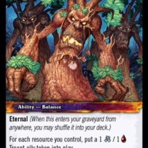 World of Warcraft TCG Boundless Wild