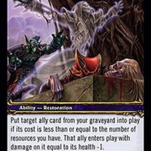 World of Warcraft TCG Ancestral Spirit