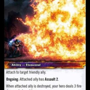 World of Warcraft TCG Favor of the Elements