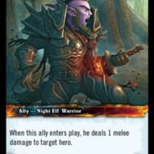 World of Warcraft TCG Darnassus Warrior