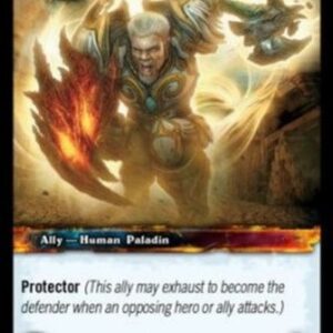 World of Warcraft TCG Northshire Crusader