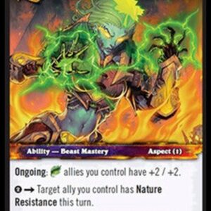 World of Warcraft TCG Aspect of the Wild
