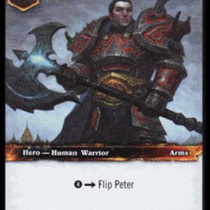 World of Warcraft TCG Peter Hottelet