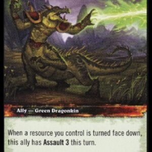 World of Warcraft TCG Emerald Wanderer