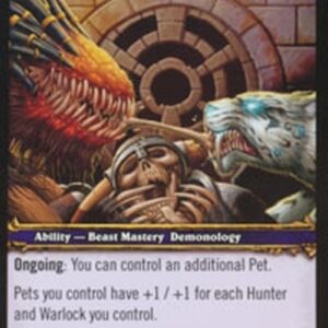 World of Warcraft TCG Master's Stable