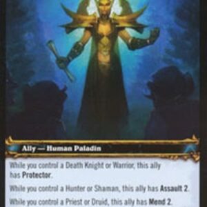 World of Warcraft TCG Devona Berkshire