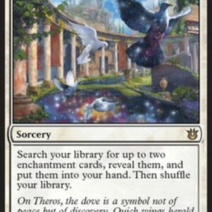 Magic: The Gathering Plea for Guidance