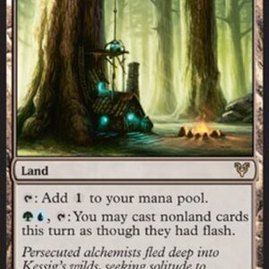 Magic: The Gathering Alchemist's Refuge
