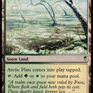 Magic: The Gathering Arctic Flats