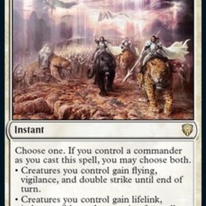 Magic: The Gathering Akroma's Will